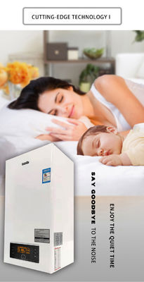 Частная форма 24KW настенный газовый котел для отопления дома Tankless мгновенный газовый водонагреватель