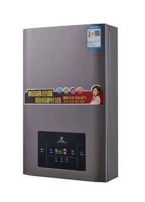 Автомобильный газовый водонагреватель 8L / 10L / 12L / 16L LPG / LNG Мгновенный безрезервный пропан для отопления помещений